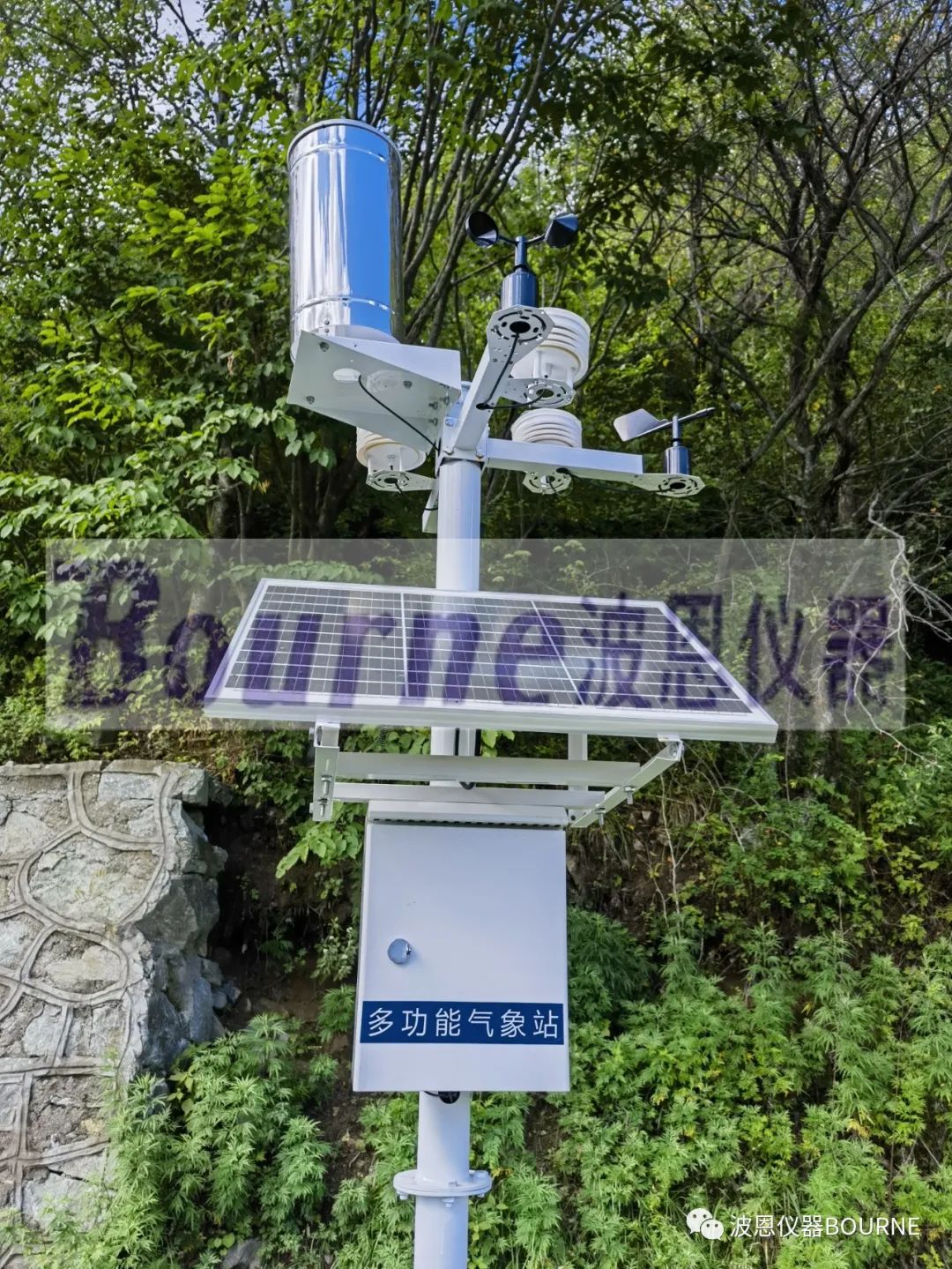 1703906645203055.jpg 2345_image_file_copy_64.jpg