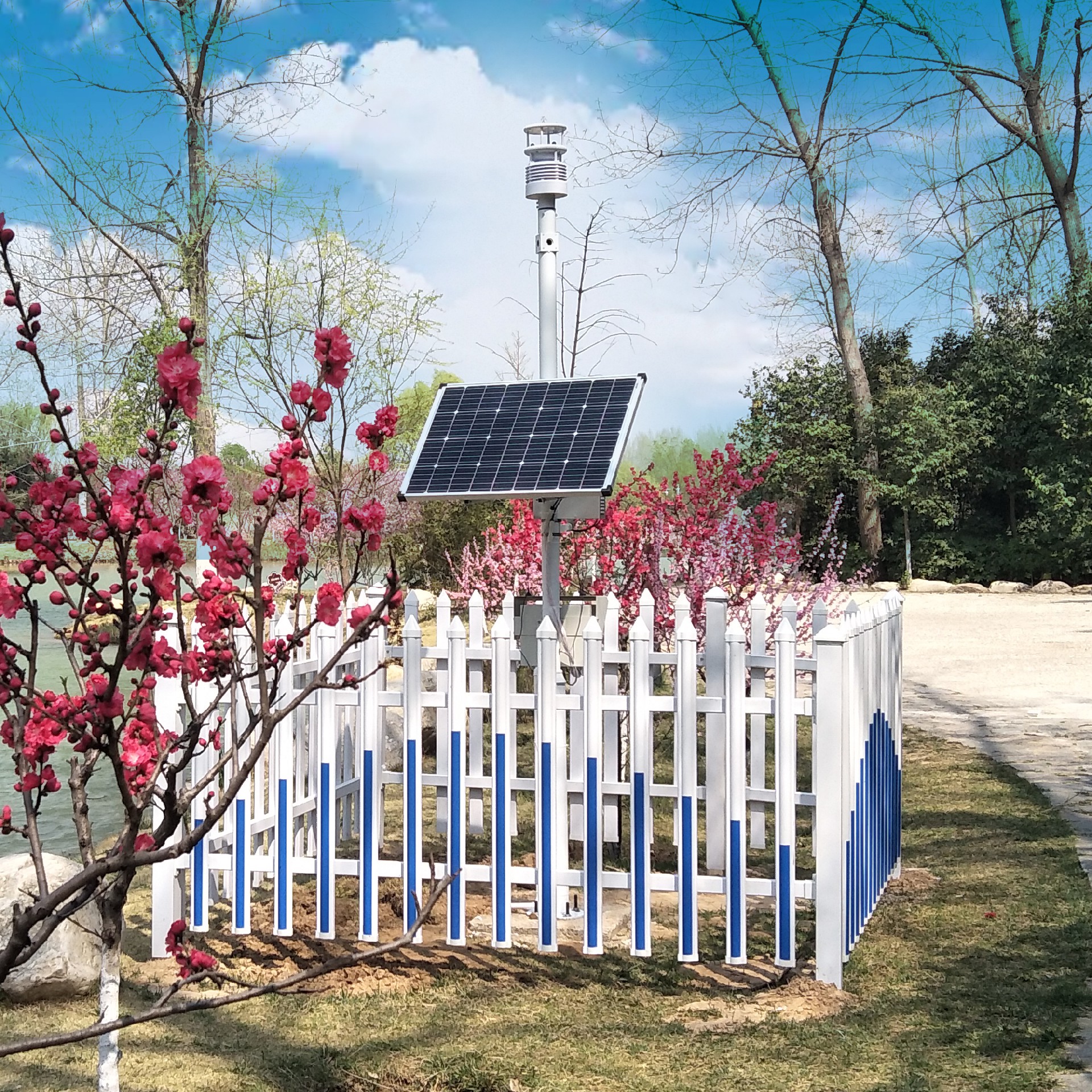 1704860251498252.jpg 2345_image_file_copy_3.jpg