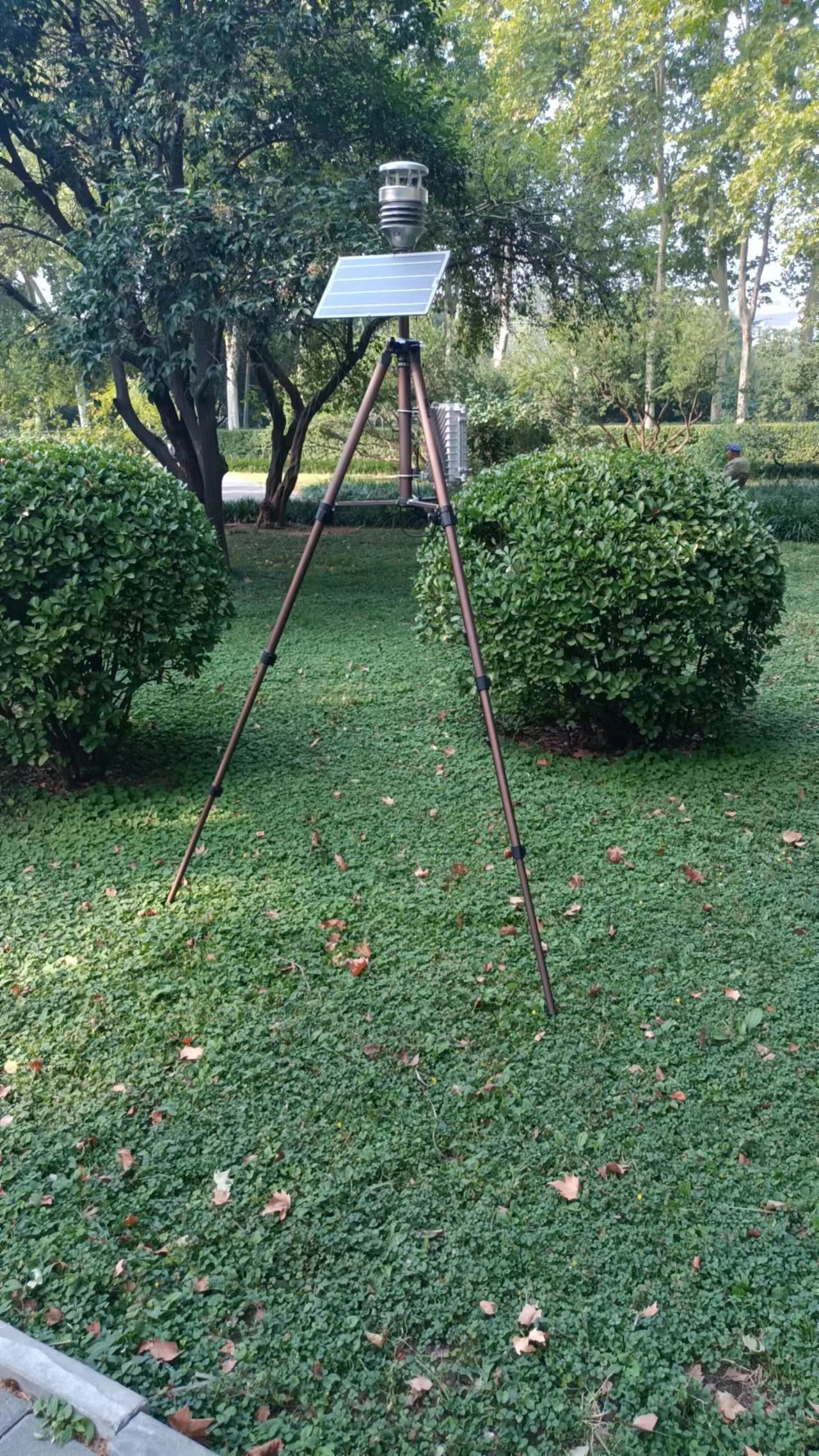 1704862828219389.jpg a47b5d9043039169e29dddeb3d999c0.jpg