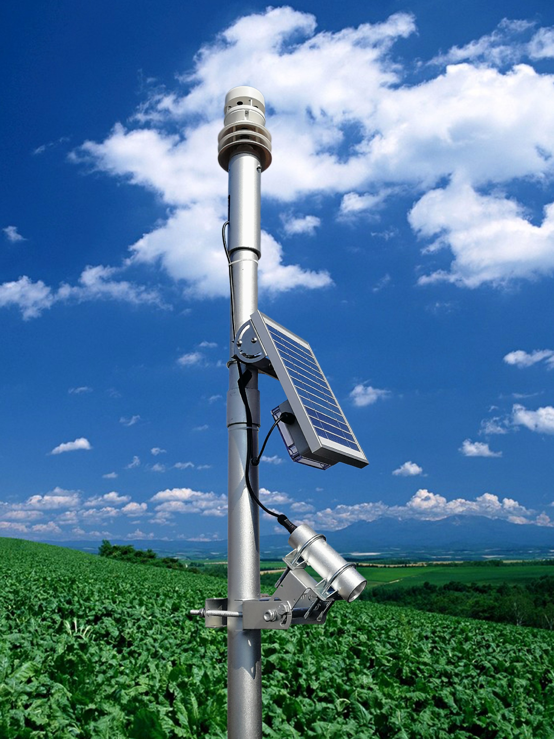 1705410238441685.jpg 2345_image_file_copy_15.jpg