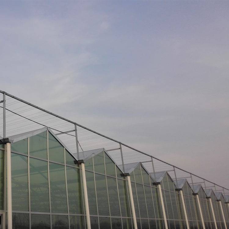 1719752695442876.jpg 2345_image_file_copy_60.jpg